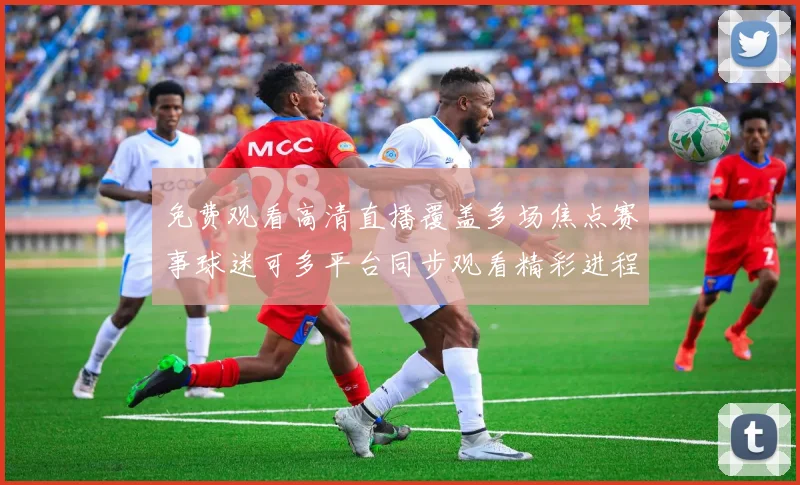 免费观看高清直播覆盖多场焦点赛事球迷可多平台同步观看精彩进程